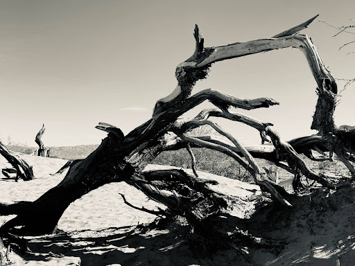 Death Valley National Park, (Southeastern California, USA)