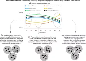 Image Credit: Psychophysiology, Volume: 60, Issue: 1, First published: 15 September 2022, DOI: (10.1111/psyp.14159)