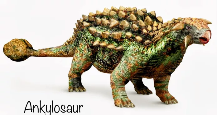 ankylosaur - লাখে একটি যে আবিষ্কার!