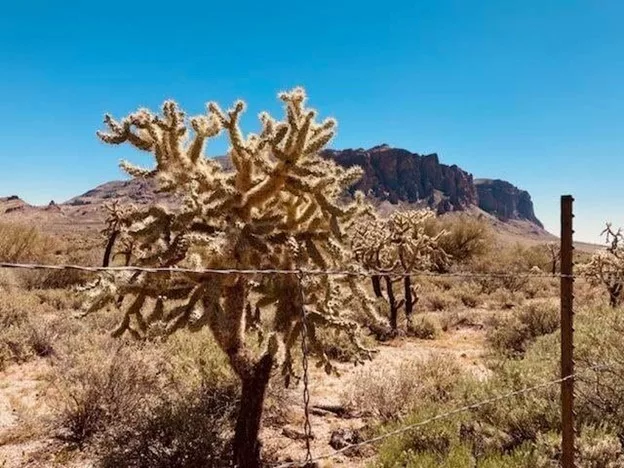 The Superstition Mountains, Arizona