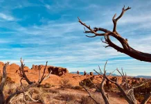 Arches National Park and Surrounding Area Red rock formations, Arches National Park, Utah USA